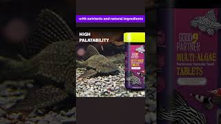 The Best Food for Your Bottom Feeders🐟Purify Series Algae Wafers🌱 #fishmedicine #fishfood #fishcare