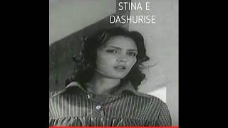 Adriana Ceka - Stina E Dashurisë