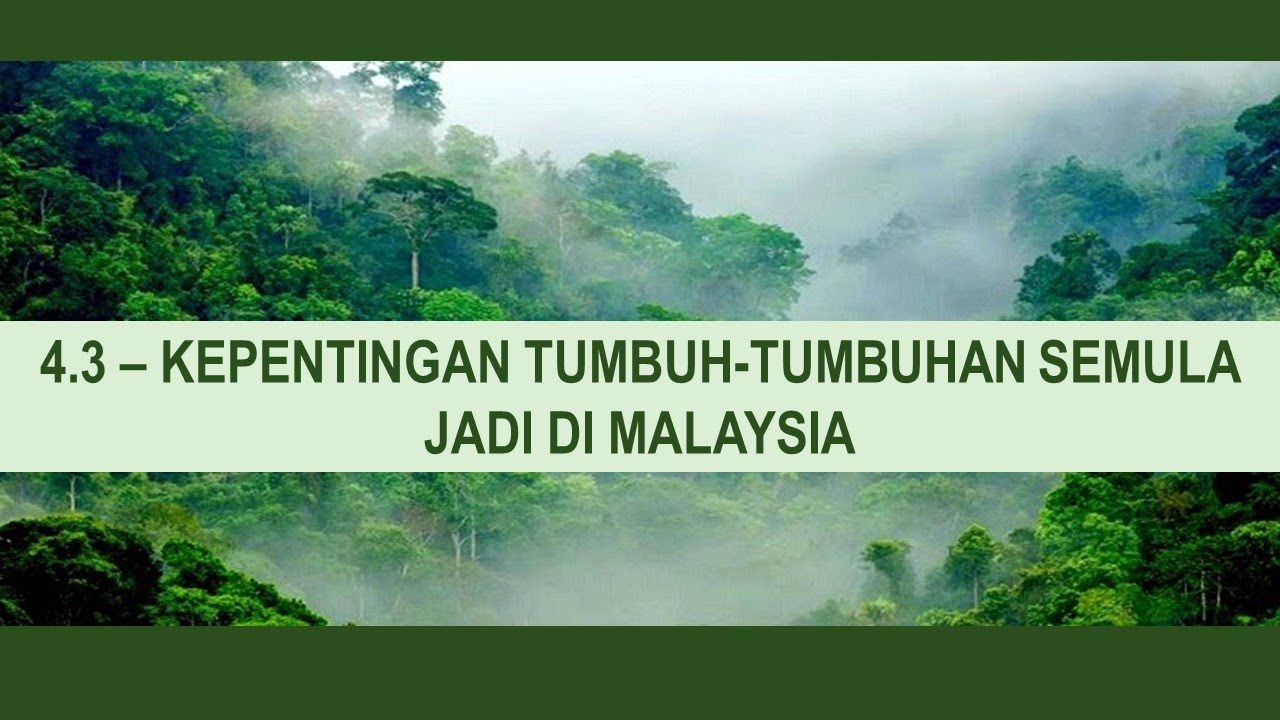 Kepentingan Tumbuh-tumbuhan