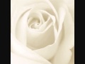 A1 - Like a rose with lyrics 