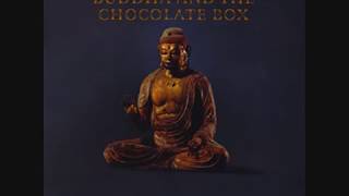 Cat Stevens:-&#39;A Bad Penny&#39;