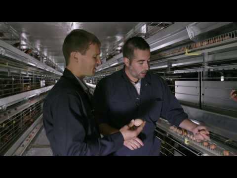 UBC Okanagan Egg Industry Chair Nathan Pelletier