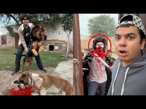 OGGY Ny Ranjha DOG Mar Dala Kia 😨 Joker NY Kia Attack 🥲