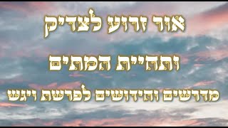 מתי יתגלה האור זרוע לצדיק ותחיית המתים | חידושים ומדרשים בפרשת ויגש - תשפ"ה | הרב יחזקאל צמח שליט"א