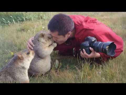 When Animals Surprise Photographers in the Sweetest Way! 😍