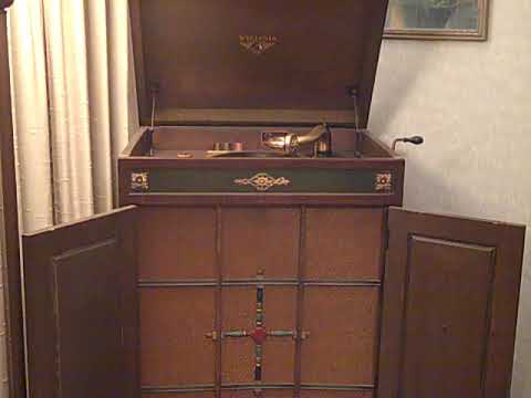 EDWIN J.  McENELLY'S ORCHESTRA - ALL OF THE TIME - ROARING 20'S VICTROLA 8-9