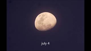 Is the september 'harvest moon' really 8 to 10 times larger than normal
