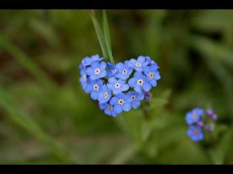 ไม่อาจจะลืม - หนุ่มเสก