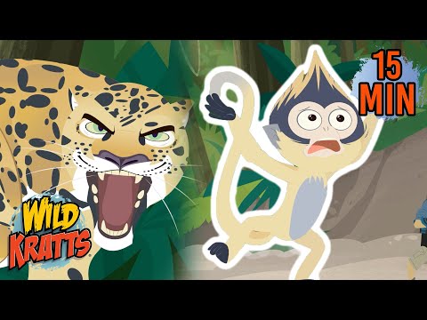 Every Creature Rescue Part 10 | Protecting The Earth's Wildlife | New Compilation | Wild Kratts
