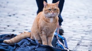 Video trailer för A Street Cat Named Bob - Official Trailer - At Cinemas November 4