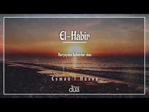 The One Who is Aware of Everything / AL-HABIR (cc) / Asma'ul Husna