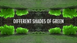 The Classic Crime - Shades of Green (Official Lyric Video)