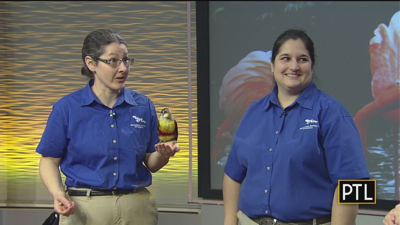 National Aviary Visit