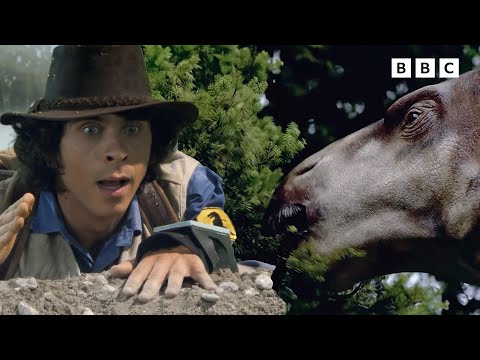 Andy finds the Iguanodon | Andy's Dinosaur Adventures | Andy's Amazing Adventures