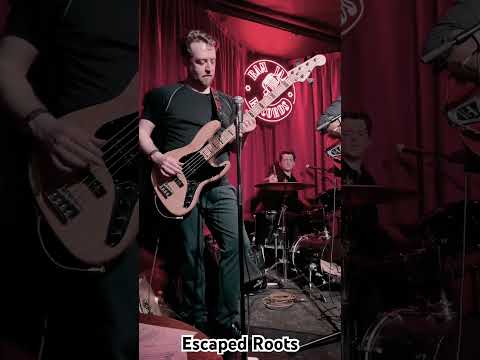 Thumbnail for Escaped Roots at Ram Jam Records by Simon Carter