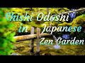 Peaceful sound of Shishi Odoshi in Japanese Zen Garden - bamboo fountain for Study, Deep sleep, ASMR