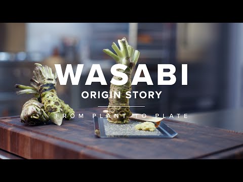 Wasabi Demystified: Understanding the Hottest Condiment
