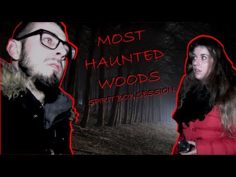 Pembrey Woods: UK's Most Haunted Forest Paranormal Investigation