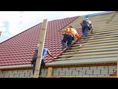 Most Dangerous Jobs in the World | @OmaimaStoryPlanet