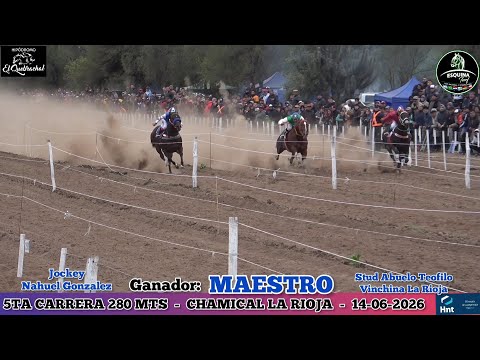 MAESTRO (Vinchina La Rioja) Hipodromo El Quebrachal Chamical La Rioja 14-06-2026 