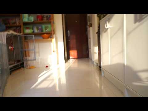 110313_Horlick & Larbi 3 months