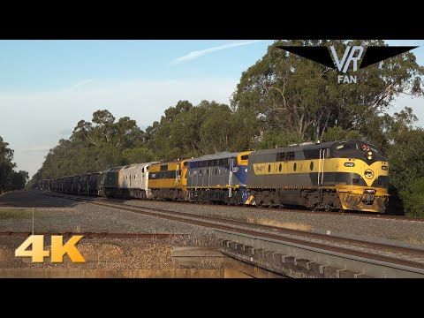 North Eastern Railway Action in 4K: Australian Trains