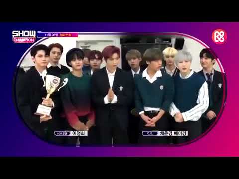 Wanna One's Spring Breeze won on today's MBC Show Champion #SpringBreeze2ndWin