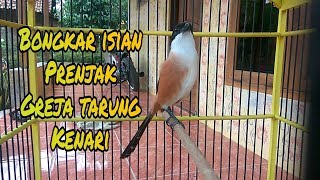 Download lagu CENDET ISIAN PRENJAK,GREJA TARUNG,KENARI mp3 Download lagu CENDET ISIAN PRENJAK,GREJA TARUNG,KENARI mp3