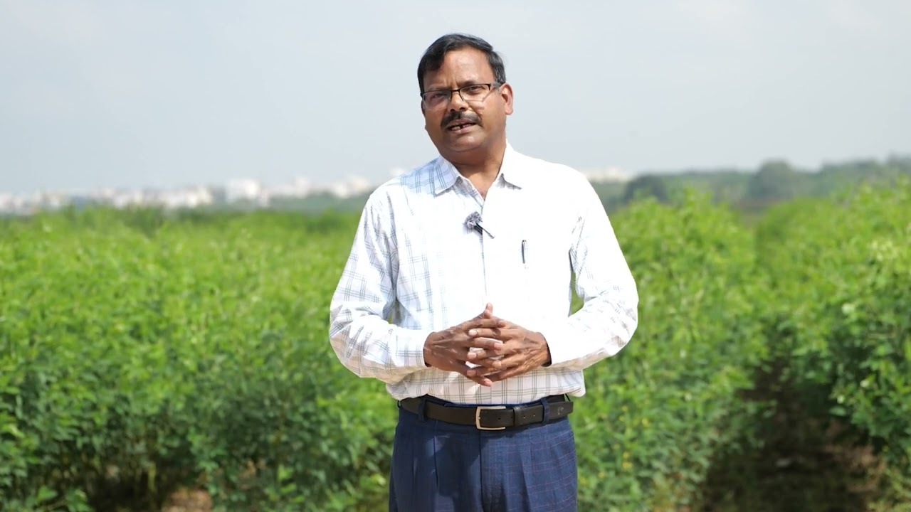 ICRISAT's Dryland Living Lab Feature