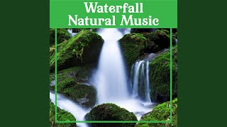 Relax Your Mind (Hatha Yoga)