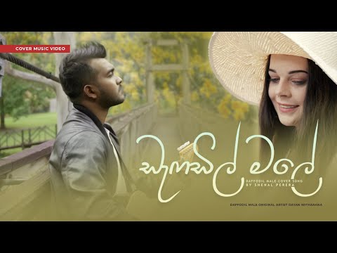 Daffodil Male | Dayan Witharana |Cover by Shenal perera
