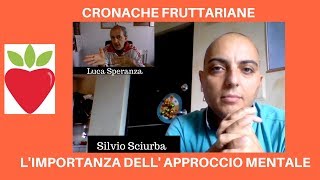 Anteprima video YouTube