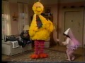 Sesame Street The Ouchy Back Ballet
