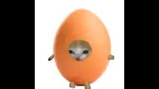 egg