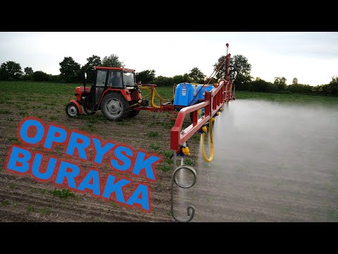 Opryskiwacz Biardzki P-329/22 + Ursus C-330 - Oprysk buraka cukrowego przeciw mszycom