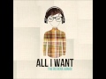 The Reverb Junkie - All I Want 