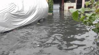 preview picture of video 'Banjir Jakarta 2014 Serdang Kemayoran Jak Pus'