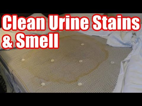 Comment éliminer les taches d'urine et les odeurs d'un matelas en quelques étapes simples