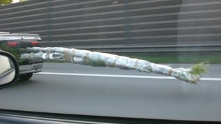 preview picture of video 'road rage transport of palmtree on highway / Verrückter gefährlicher Transport Palme Autobahn'