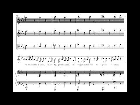 Vivaldi: Cessate omai cessate - I. Cessate omai cessate - Mingardo