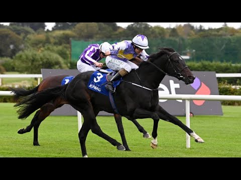 GREEN IMPACT wins the G2 Champions Juvenile Stakes 2024