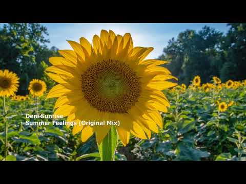 Deni Sunrise - Summer Feelings (Original Mix)[SMLD080]