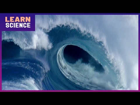 What Really Lies at the Bottom of the Ocean? Deep Sea Mysteries Revealed