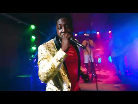 The Palm Tree Corner: Mr. Gold'N - 473