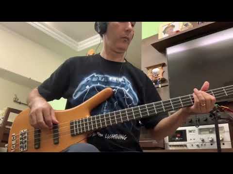 Gin Blossoms - Follow you down  bass cover
