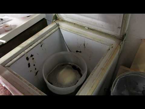 HBW #100 Back to Basics with a Mangrove Jacks American Pale Ale