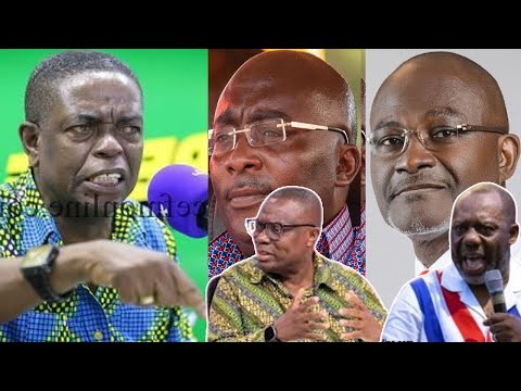 Ken Agyapong will win - Kwesi Pratt, NAPO has collapsed Bawumia campaign; flaws Mussa Dankwa POLLS!-