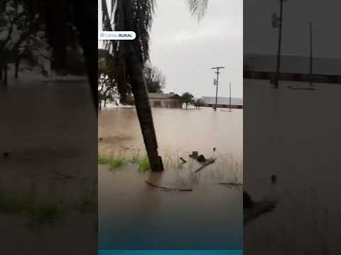 Chuvas intensas voltam a causar prejuízos no Rio Grande do Sul