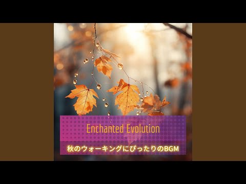 絶好調の前庭 トピックス