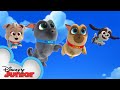 Cupcake S Birthday Puppy Dog Pals Disneyjr